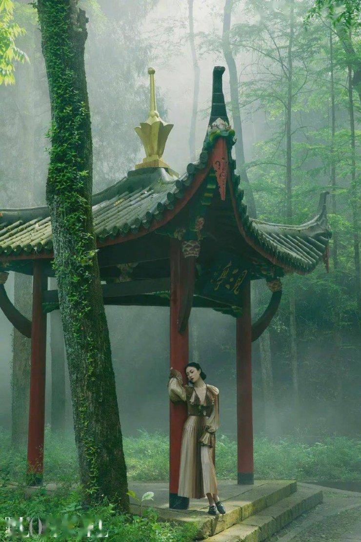 万词王